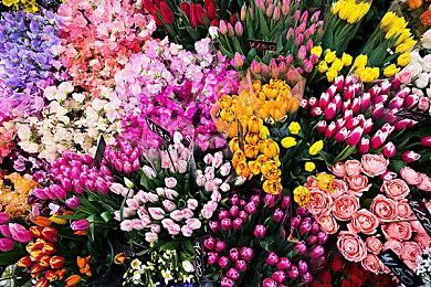 《垃圾回收中心模拟器》Steam页面上线 支持中文